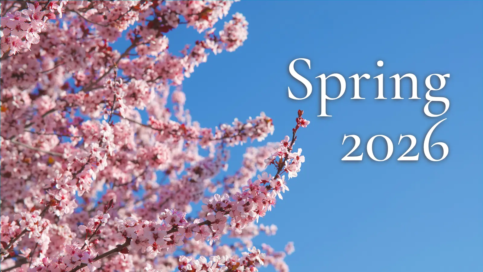 Spring 2026 Real Estate Market: What Buyers & Sellers Need to Know